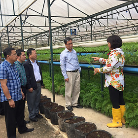 Cơ hội thúc đẩy nông nghiệp công nghệ cao tại Lâm Đồng