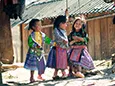 Các dân tộc Việt Nam theo nhóm ngôn ngữ, nhóm ngôn ngữ Tạng - Mianma